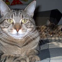 Amy Snipes Photo 29