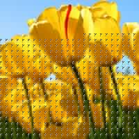 May Her Photo 9