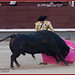 Juan Mora Photo 33