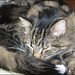 Thelma Long Photo 23
