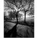 Laura Mackay Photo 30