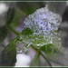 Sarah Freund Photo 16