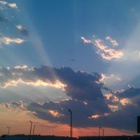 Michael Perrigo Photo 9