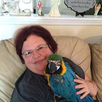 Deborah Parmerlee Photo 3