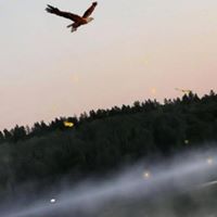 Manthan Shah Photo 20