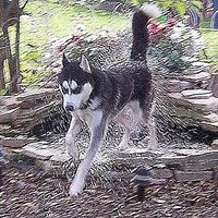 Jo Helms Photo 8