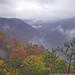Virginia Mashburn Photo 8