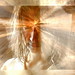 Alan Yang Photo 36