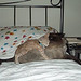 Fred Farley Photo 7