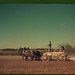 Marion Harness Photo 1