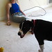 Nicole Montgomery Photo 7