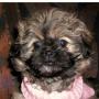 Jacqueline Nevels Photo 8