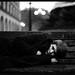 Sam Jenkins Photo 16