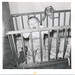 Irene Lanigan Photo 9