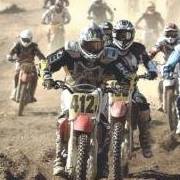 Sandy Holman Photo 13