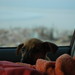 Alice Lane Photo 15