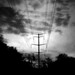 Ann Power Photo 29