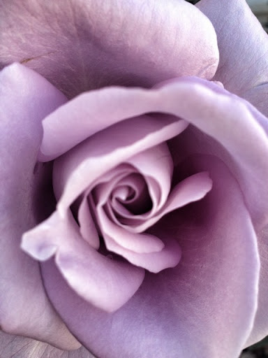 Rebecca Prince Photo 35