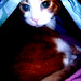 Spencer Peek Photo 8