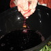 Brenda Buck Photo 21