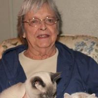 Sue Thomas Photo 5