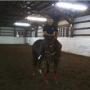 Brandon Robison Photo 23