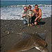 Ray Fish Photo 14
