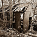 Paul Selby Photo 11