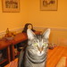 Jane Robie Photo 12