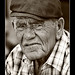 Joseph Cappello Photo 13