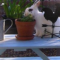 Catherine Cranford Photo 11