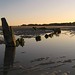 Dawn Higgins Photo 15