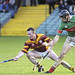Micheal Webster Photo 13