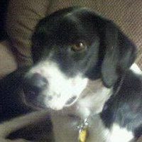 Kathleen Scherer Photo 7