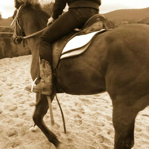 Lisa Hazell Photo 12