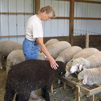Cathy Wineman Photo 2