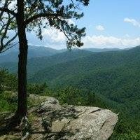 Linda Ferrell Photo 8
