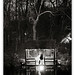 David Esposito Photo 35