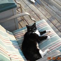 Linda Mccaslin Photo 13
