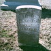 Jesse Tuttle Photo 32