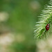 Jeff Plant Photo 24
