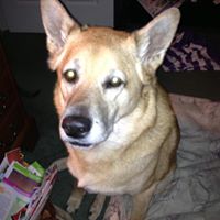 Janet Keener Photo 7
