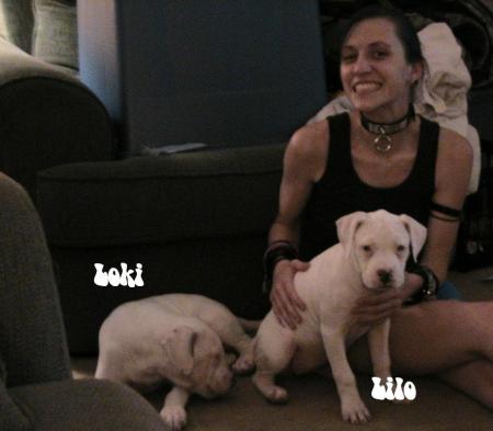 Amy Humphries Photo 18