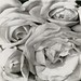 Maria Richey Photo 17
