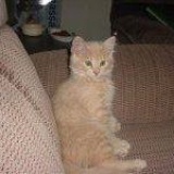 Debra Campbell Photo 4
