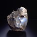 Sidney Goldstein Photo 19