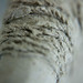 Becky Campbell Photo 12