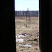 Lawrence Wood Photo 19