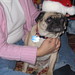 Teresa Bailey Photo 19