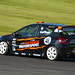 Steven Gaffney Photo 19